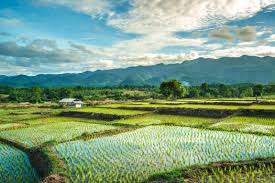 HỎI ĐÁP LUẬT ĐẤT ĐAI