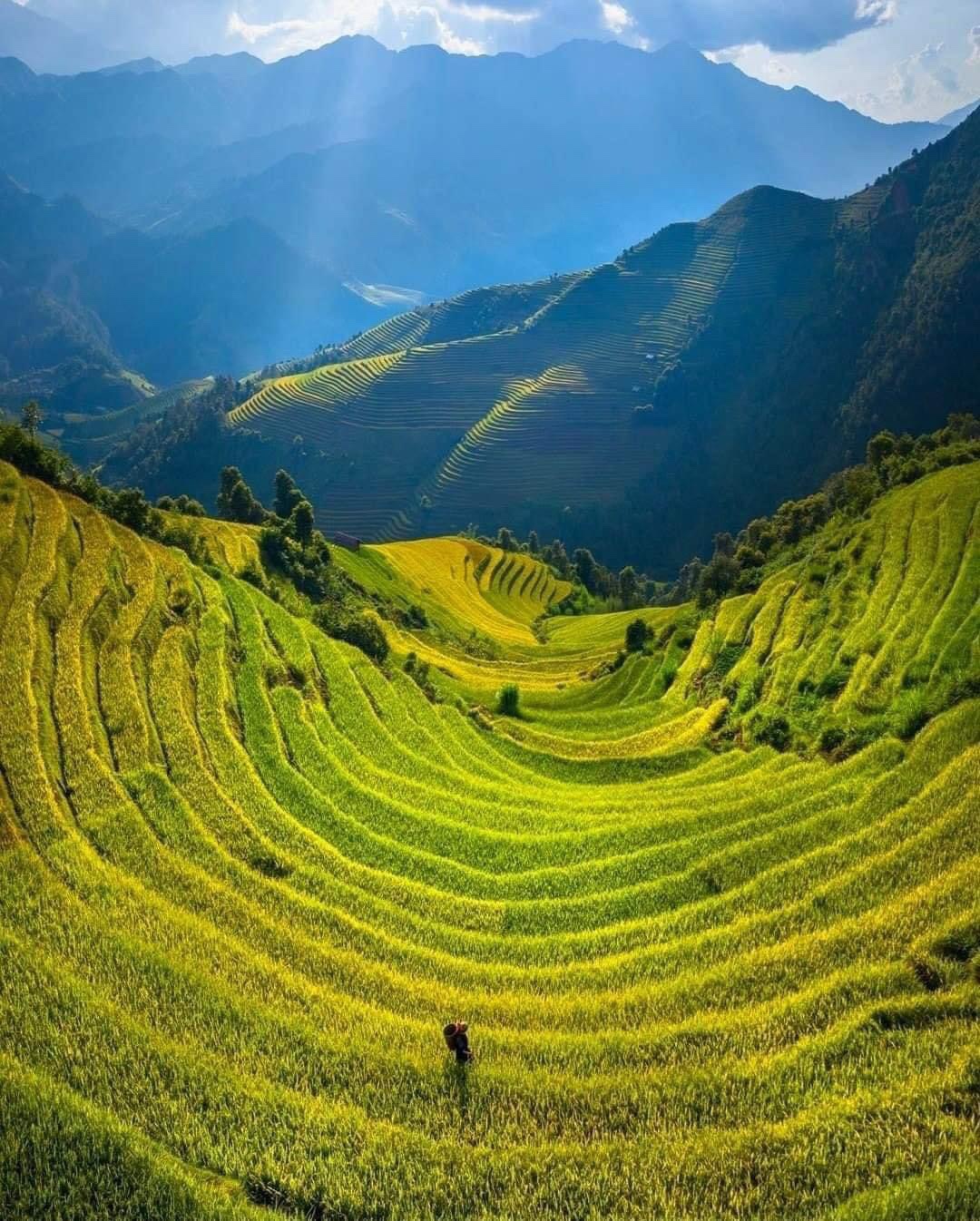 THỦ TỤC CHUYỂN NHƯỢNG, CHUYỂN ĐỔI, CHO THUÊ, CHO THUÊ LẠI, THỪA KẾ, TẶNG CHO, GÓP VỐN QSD ĐẤT