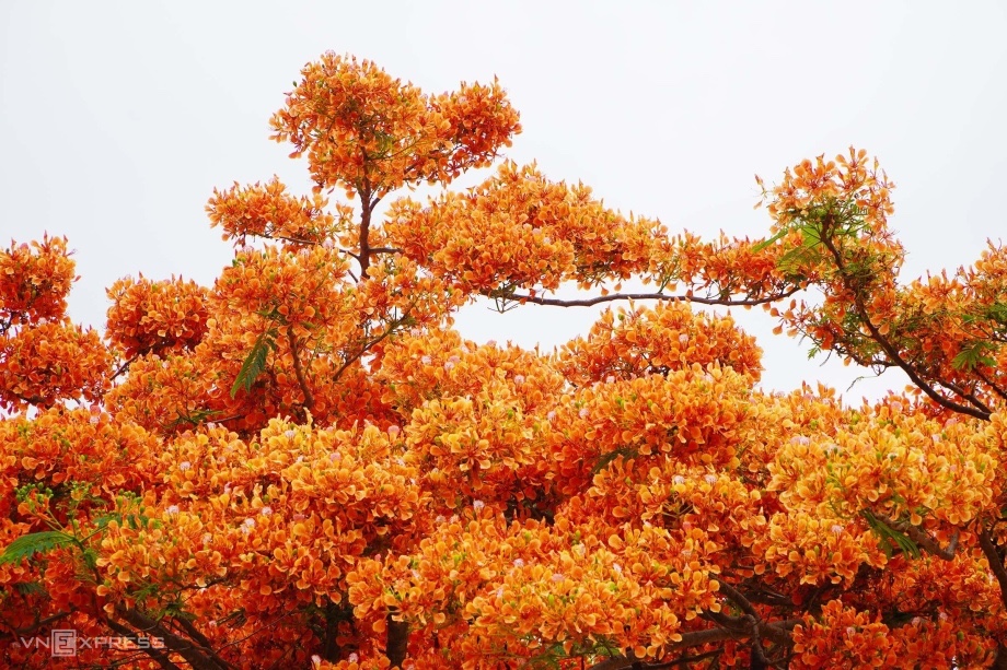 ​CÔNG TY ĐƯỢC TRẢ LƯƠNG CHẬM CHO NGƯỜI LAO ĐỘNG TRONG BAO LÂU?
