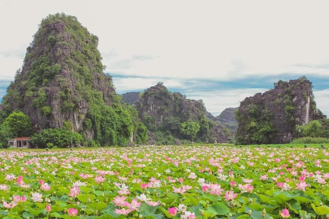 CÓ ĐƯỢC HƯỞNG DI SẢN THỪA KẾ NẾU ĐANG CHẤP HÀNH HÌNH PHẠT TÙ VỀ TỘI CỐ Ý GÂY TỔN HẠI SỨC KHỎE CỦA NGƯỜI KHÁC KHÔNG?