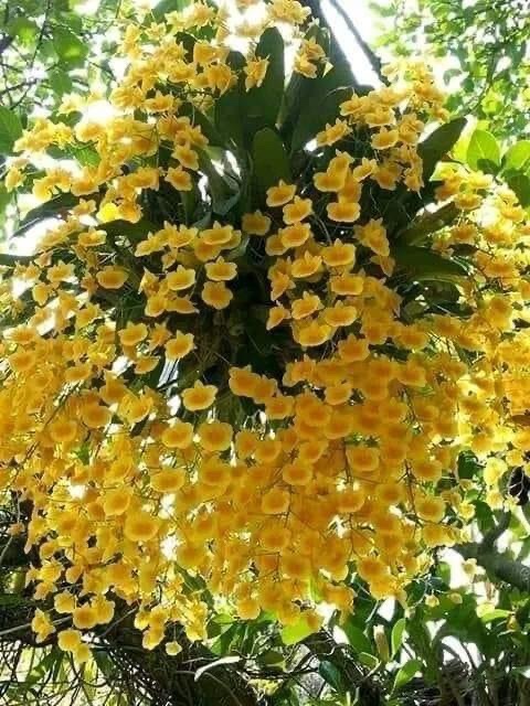 KHI NÀO THÌ VỤ ÁN DÂN SỰ ĐƯỢC TÒA ÁN THỤ LÝ?