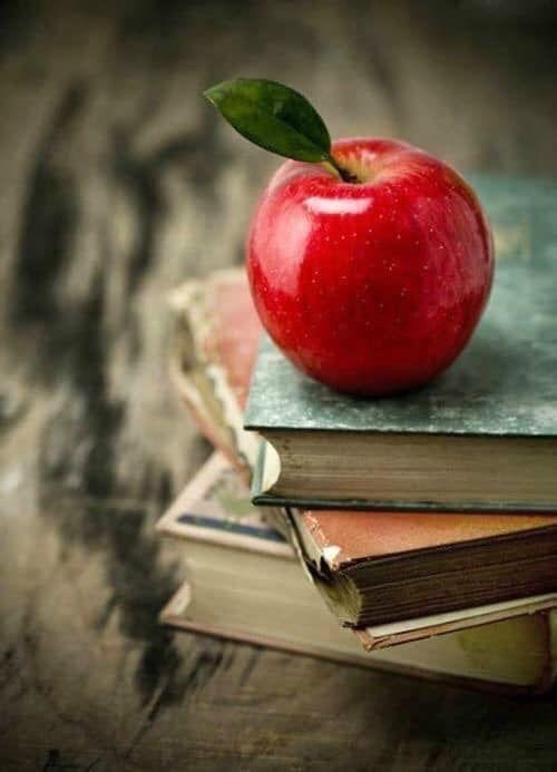 HỒ SƠ ĐĂNG KÝ ĐẤT ĐAI, TÀI SẢN GẮN LIỀN VỚI ĐẤT LẦN ĐẦU
